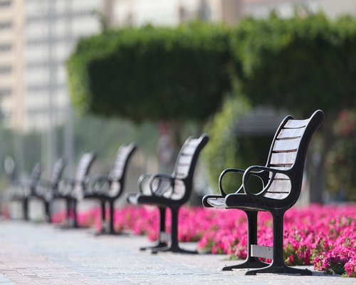 A serene view of a city park with empty benches and green trees